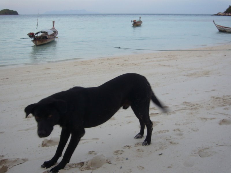 Travel - Thailand - Ko Lipe - The Island